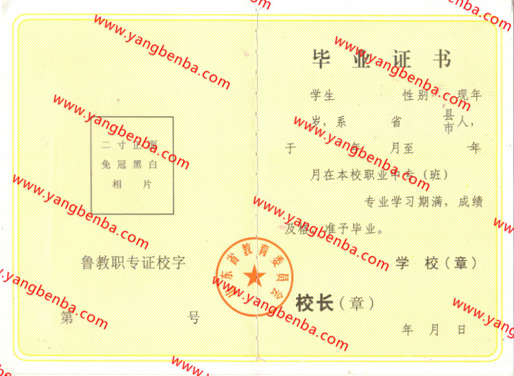 山东省中专毕业证样本内页4