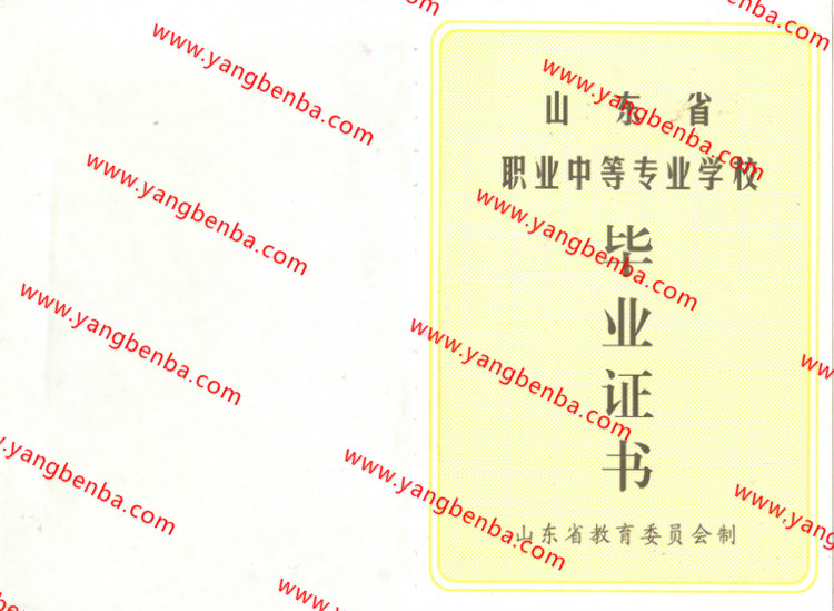山东省中专毕业证样本内页5