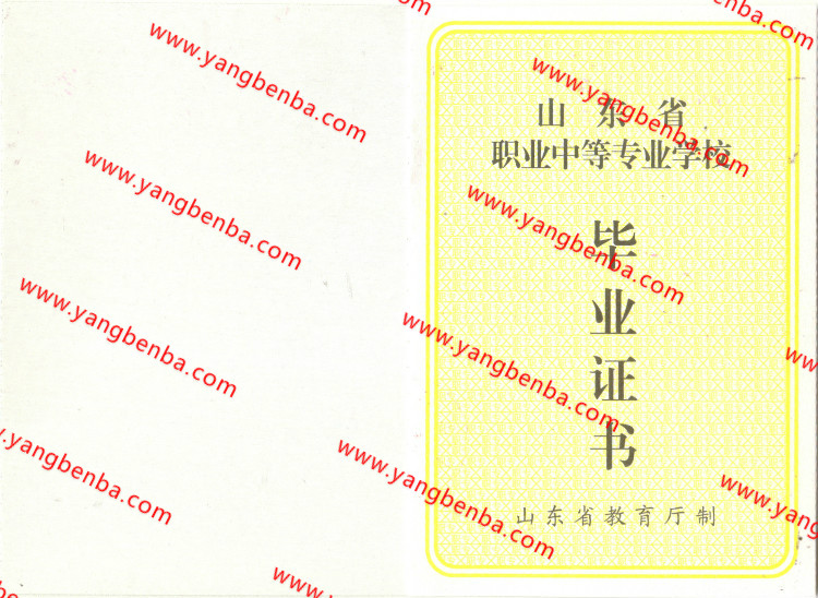 山东省中专毕业证样本内页6