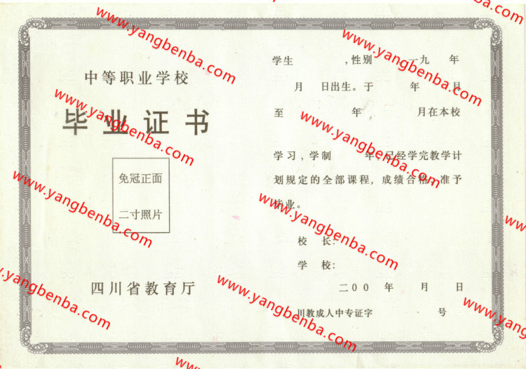 四川省中专毕业证样本内页8