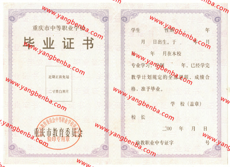 重庆市中专毕业证样本内页2