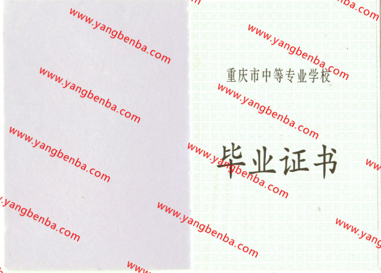 重庆市中专毕业证样本内页4