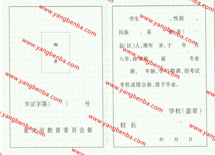 重庆市中专毕业证样本内页5