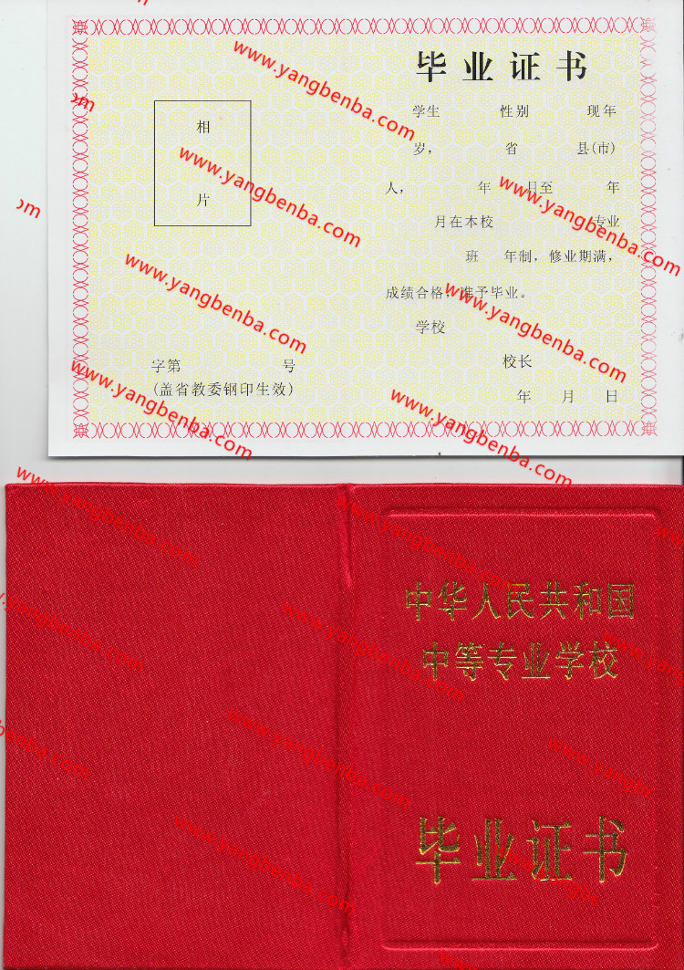 中专毕业证样本2