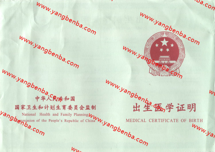 出生医学证明样本内页2