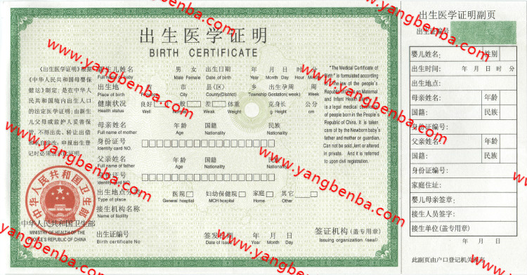 出生医学证明样本内页4
