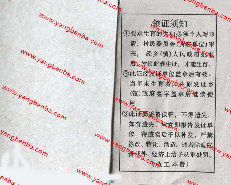 准生证样本内页