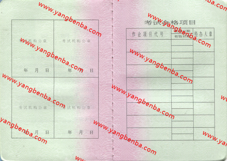 特种设备作业人员证样本内页2