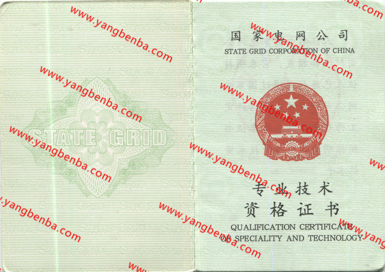 国家电网公司专业资格证书样本内页