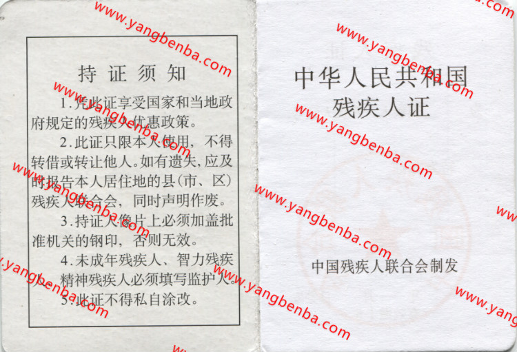 残疾证样本内页