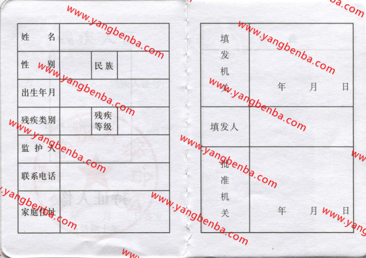 残疾证样本内页2
