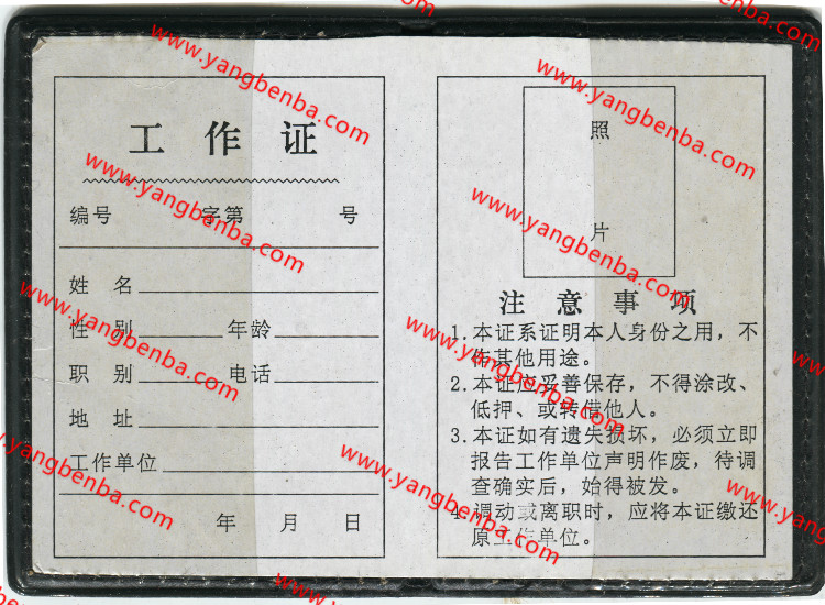 工作证样本内页