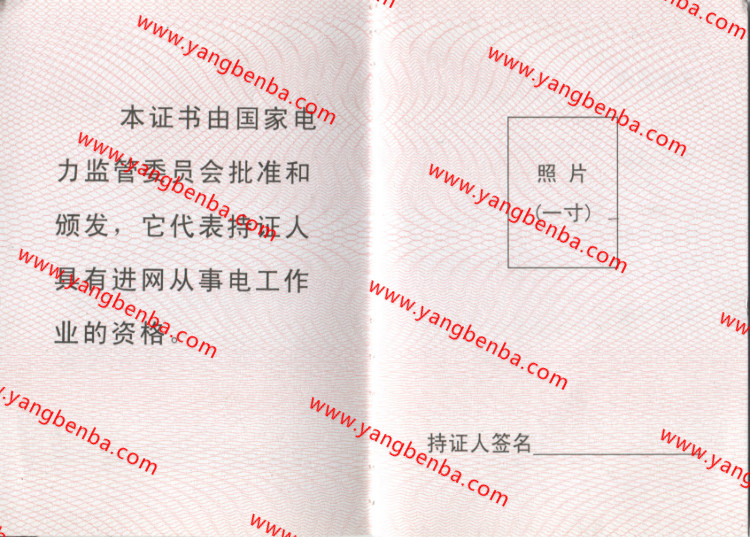 电工进网作业许可证样本内页2