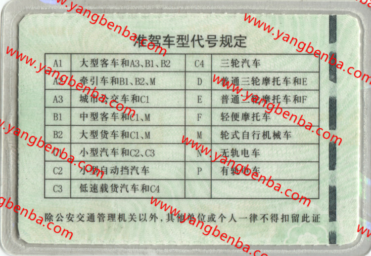 驾驶证样本反面