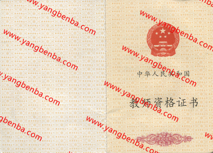 教师资格证样本内页9