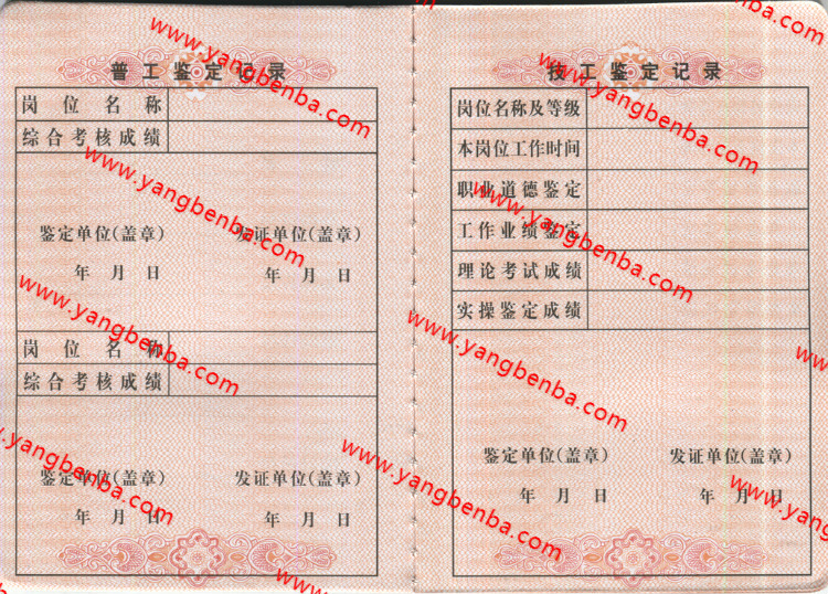 职业技能岗位证书样本内页3