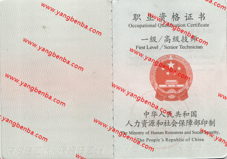 一级职业资格证书样本内页