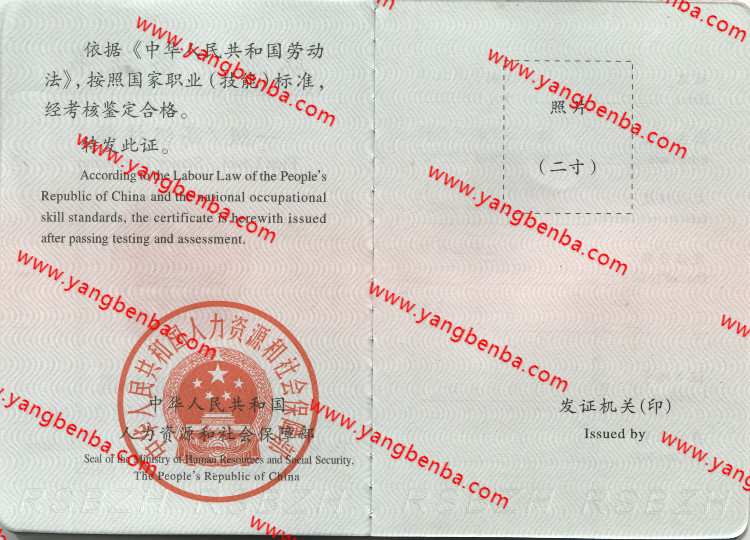 二级职业资格证书样本内页2