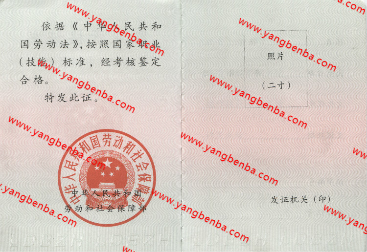 三级职业资格证书样本内页2