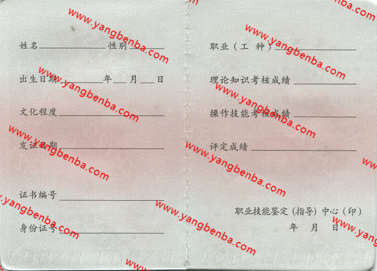 三级职业资格证书样本内页3