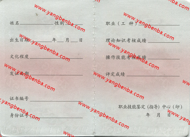 四级职业资格证书样本内页3