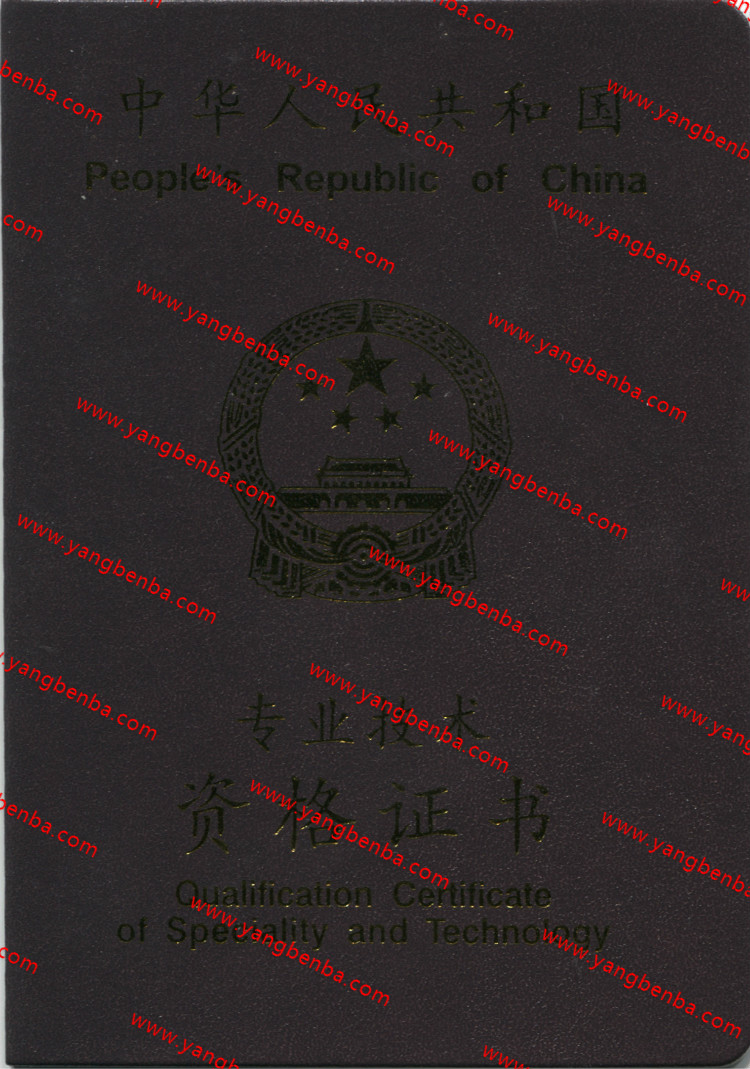 专业技术资格证书样本