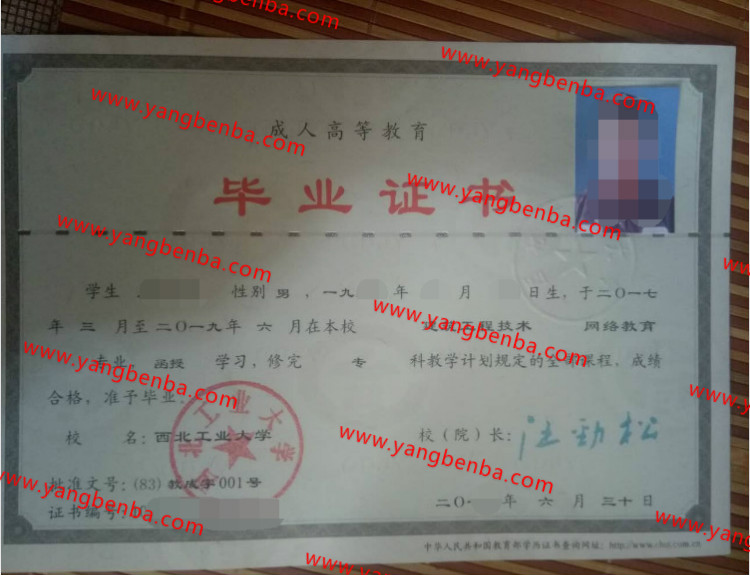 2019年西北工业大学毕业证样本