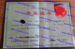 安徽机电职业技术学院中专毕业证样本