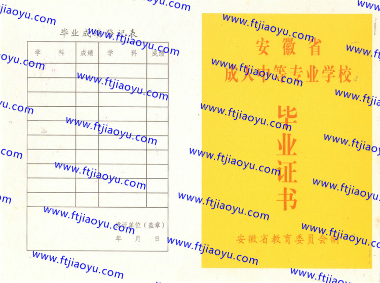 安徽省中专毕业证样本