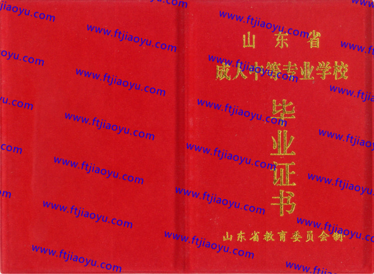 山东省中专毕业证样本