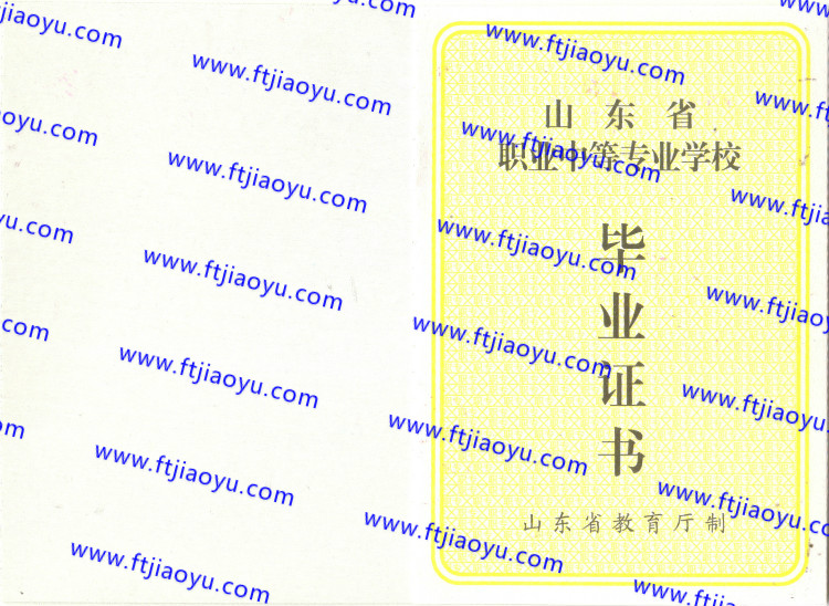 山东省中专毕业证样本