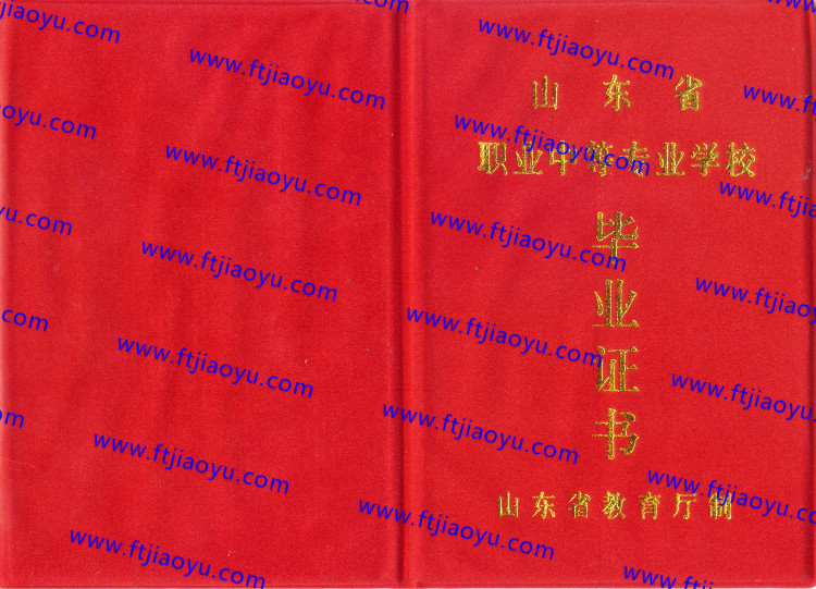 山东省中专毕业证样本