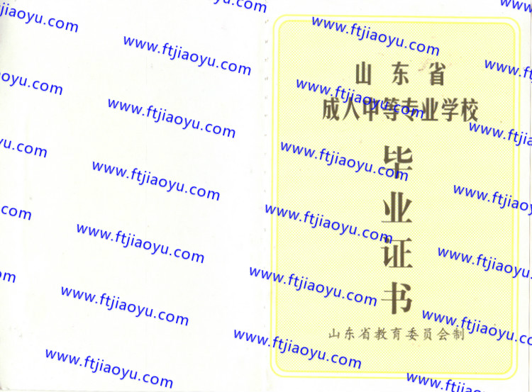 山东省中专毕业证样本
