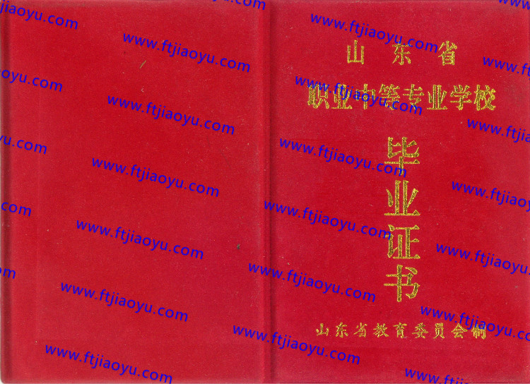 山东省中专毕业证样本