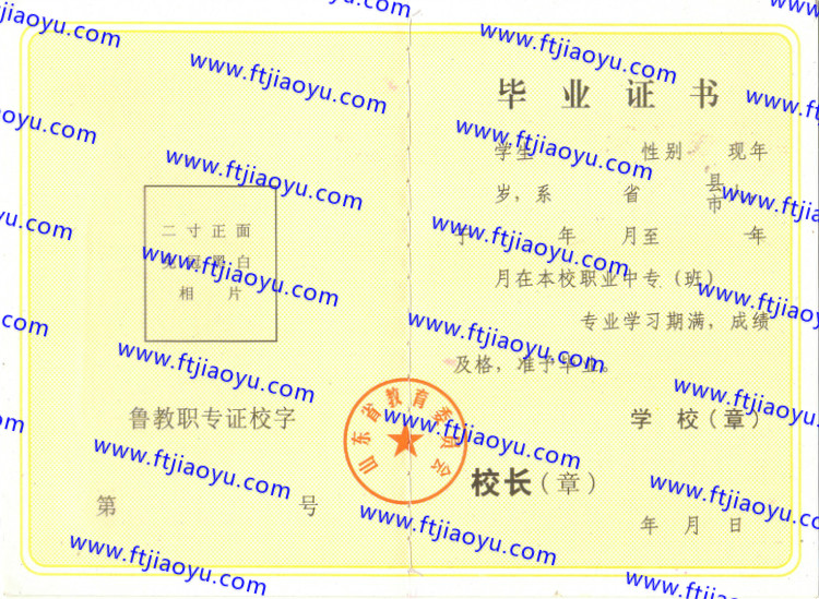 山东省中专毕业证样本