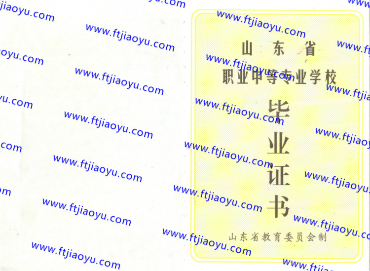 山东省中专毕业证样本
