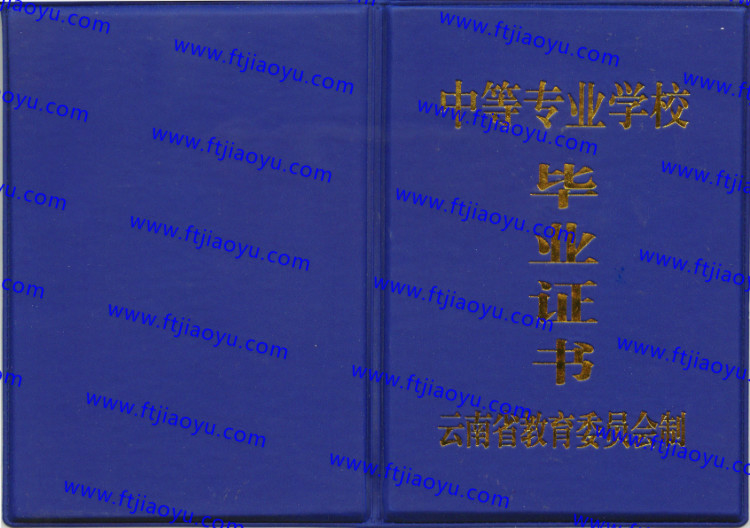 云南省中专毕业证样本