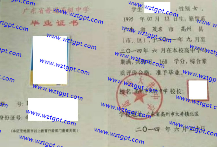 高州市大井中学高中毕业证样本