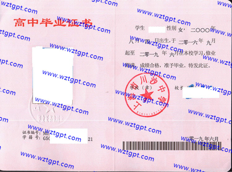 上海市川沙中学高中毕业证样本