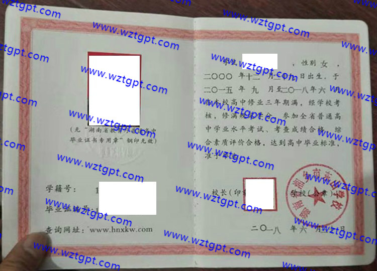 湖南省湘乡市东山学校高中毕业证样本