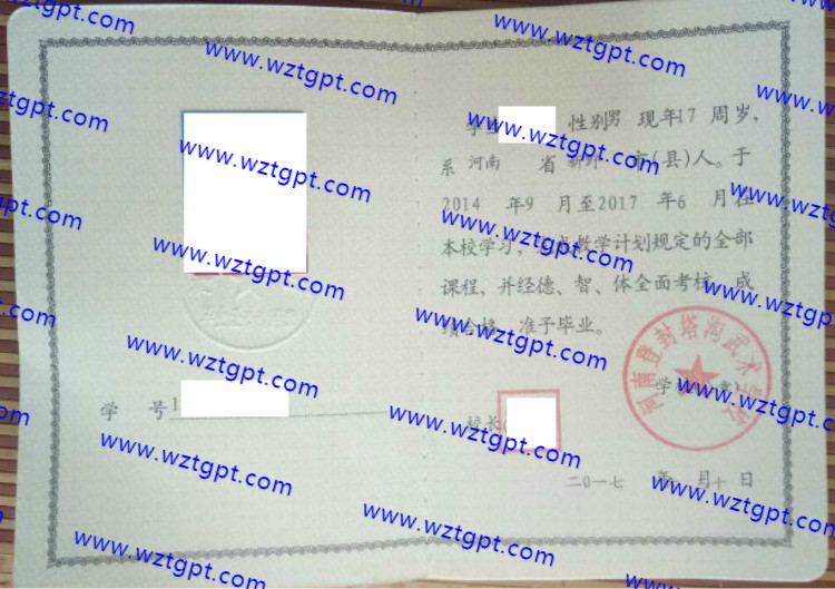 河南登封塔沟武术学校高中毕业证样本