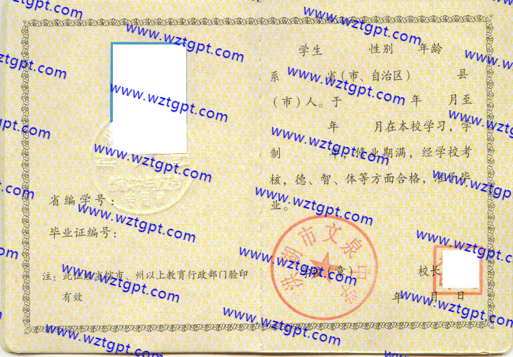 洪湖市文泉中学高中毕业证样本