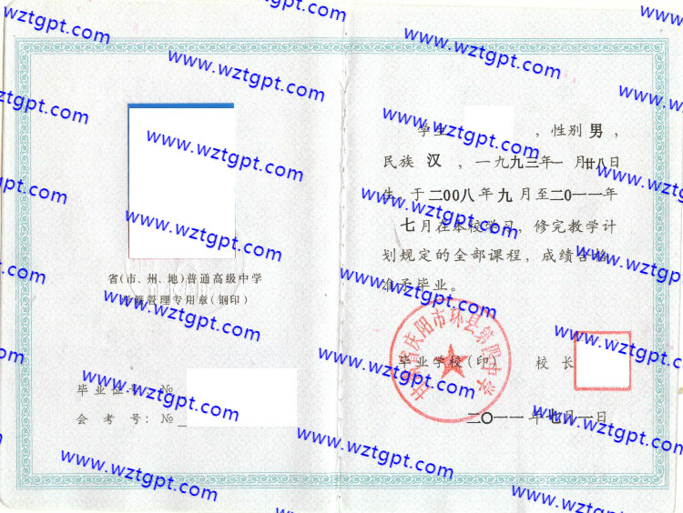 甘肃省庆阳市环县第四中学高中毕业证样本