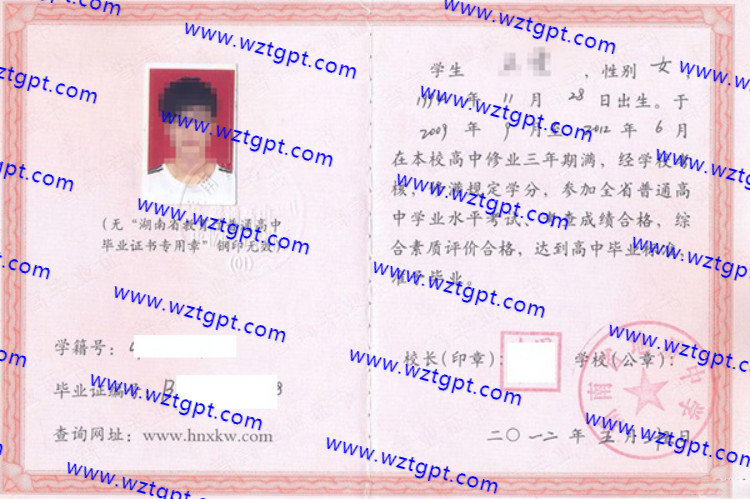 湖南省地质中学高中毕业证样本