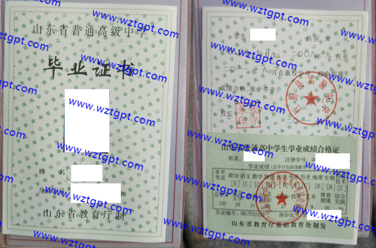 巨野县实验中学高中毕业证样本