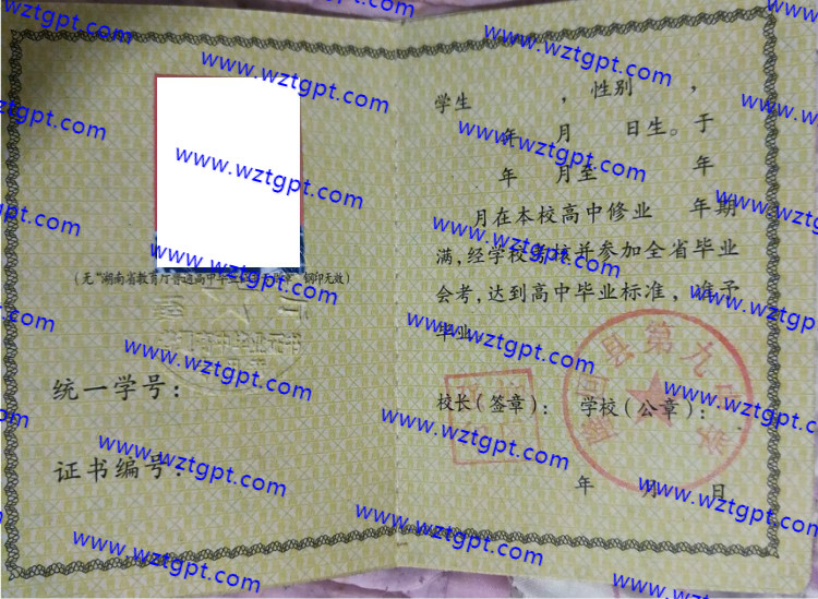 隆回县第九中学高中毕业证样本