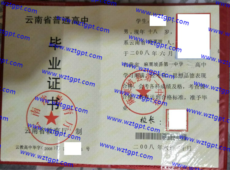 麻栗坡县第一中学高中毕业证样本