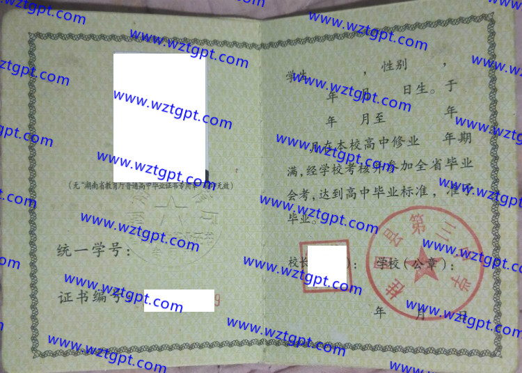 桂阳县第三中学高中毕业证样本