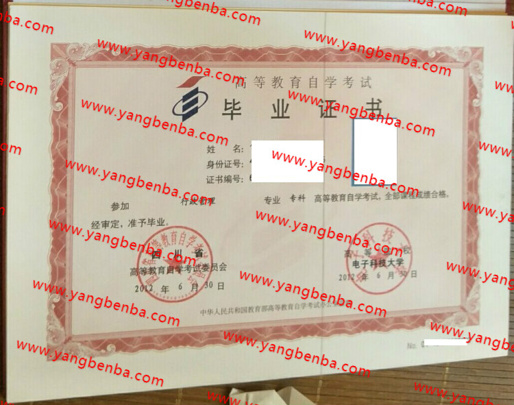 电子科技大学自考毕业证样本