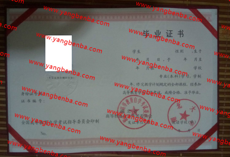 湖北大学自考毕业证样本